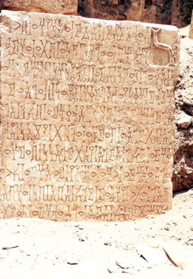 الذفيف 8 / AL- Dhafeef 8